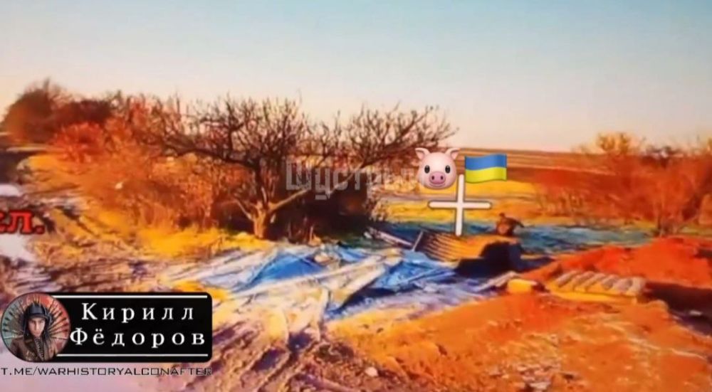 ОТ ШУСТРЫХ УЙТИ НЕ ПОЛУЧИТСЯ ОТ ШУСТРЫХ УЙТИ НЕ ПОЛУЧИТСЯ