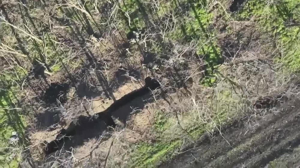  :  fpv-         - 