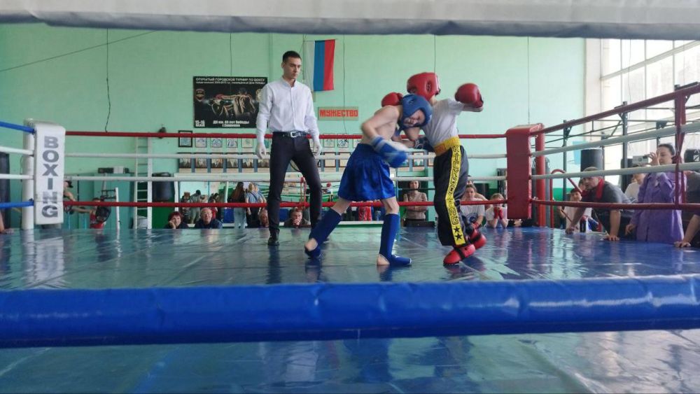 Соревнования по кикбоксингу Соревнования по кикбоксингу