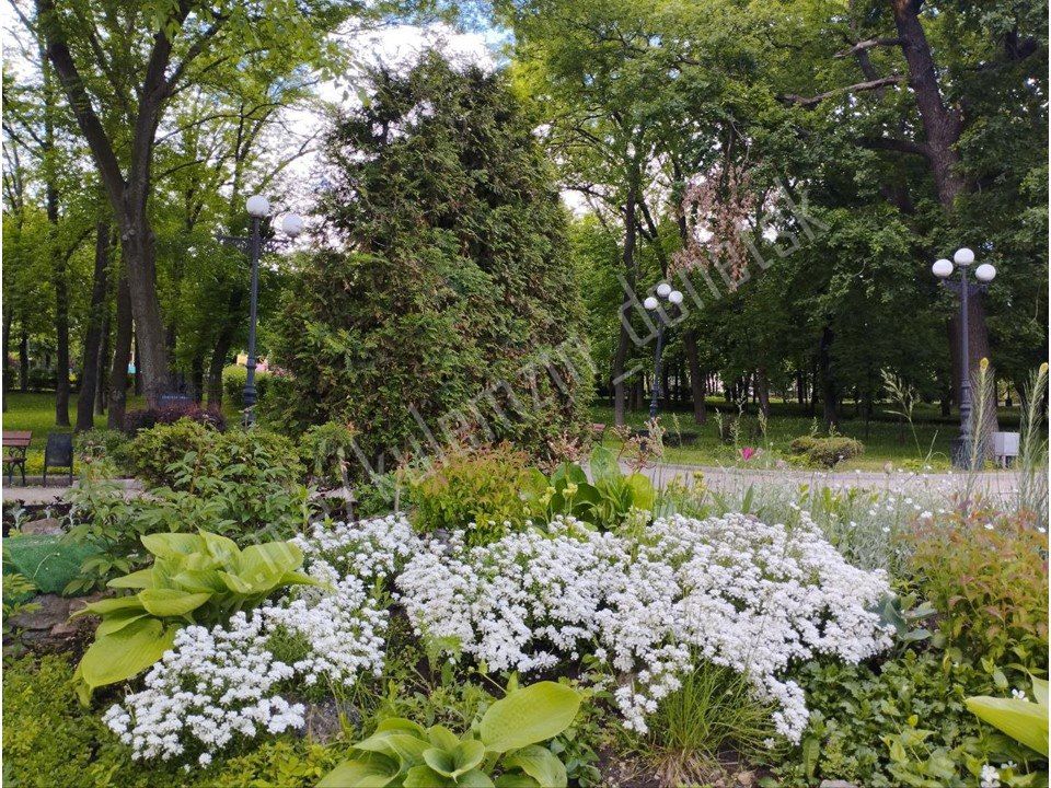 Алексей Кулемзин: В городском парке культуры и отдыха им. А.С. Щербакова царит удивительное великолепие сочных цветочных композиций Алексей Кулемзин: В городском парке культуры и отдыха им. А.С. Щербакова царит удивительное великолепие сочных цветочных композиций