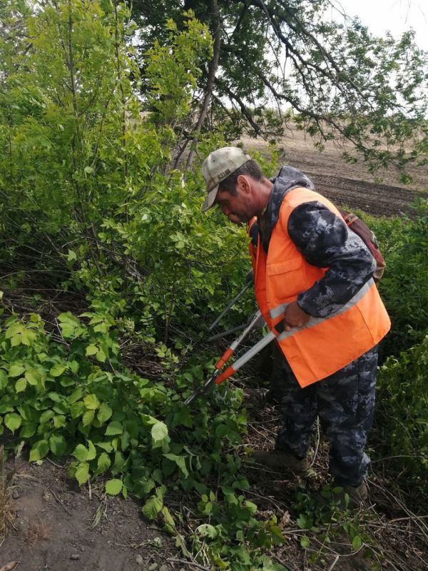 Коммунальщики Снежного продолжают благоустраивать территории общего пользования Коммунальщики Снежного продолжают благоустраивать территории общего пользования