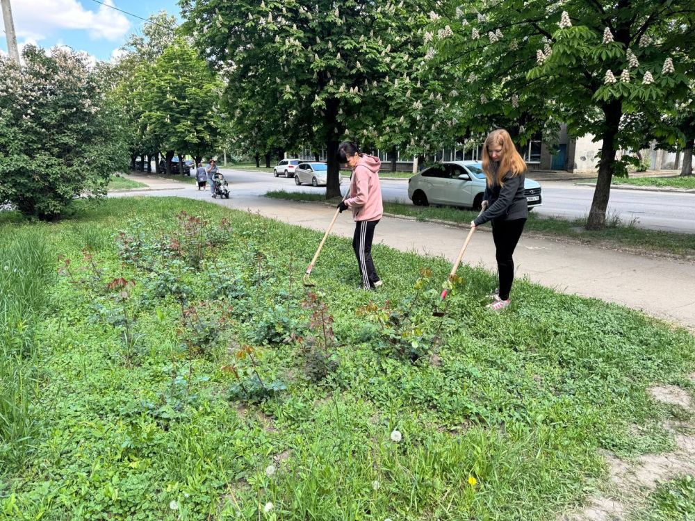 Елена Рязанцева: В Пролетарском районе прошла экологическая акция «Чистый четверг», в рамках проекта «Городская среда» Всероссийской политической партии «Единая Россия» Елена Рязанцева: В Пролетарском районе прошла экологическая акция «Чистый четверг», в рамках проекта «Городская среда» Всероссийской политической партии «Единая Россия»