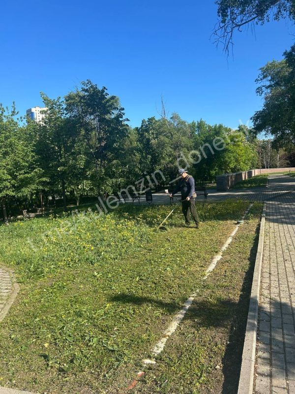 Алексей Кулемзин: Сотрудники Дирекции парков продолжают работу по благоустройству территорий: привели в порядок газоны, клумбы, высадили новые растения Алексей Кулемзин: Сотрудники Дирекции парков продолжают работу по благоустройству территорий: привели в порядок газоны, клумбы, высадили новые растения