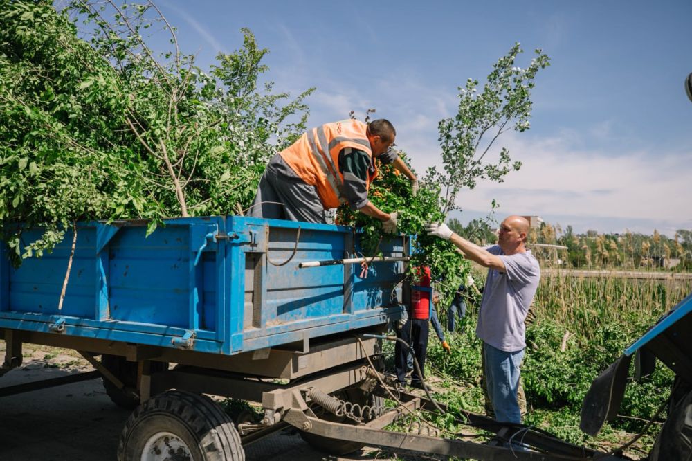 Олег Моргун: Провели в Мариуполе очередной общегородской субботник Олег Моргун: Провели в Мариуполе очередной общегородской субботник