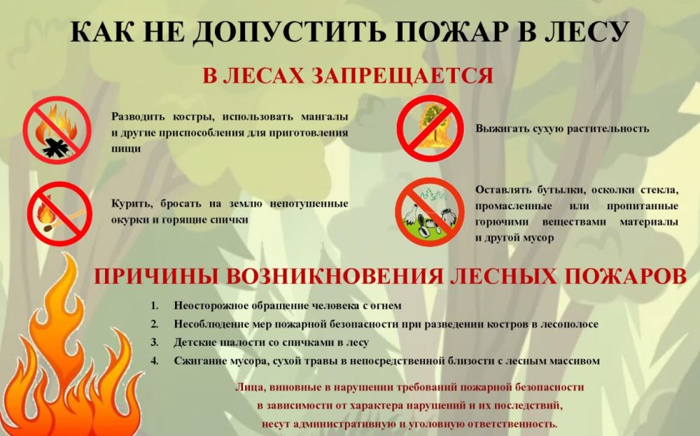 Предупреждение пожаров в лесах Предупреждение пожаров в лесах