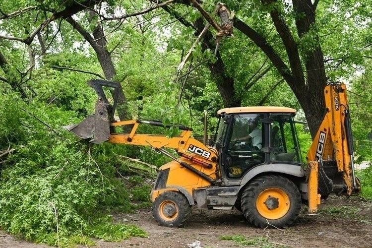 «Донецк расцветает с каждым днем»: парк «Энергетиков» превратится в современное пространство «Донецк расцветает с каждым днем»: парк «Энергетиков» превратится в современное пространство