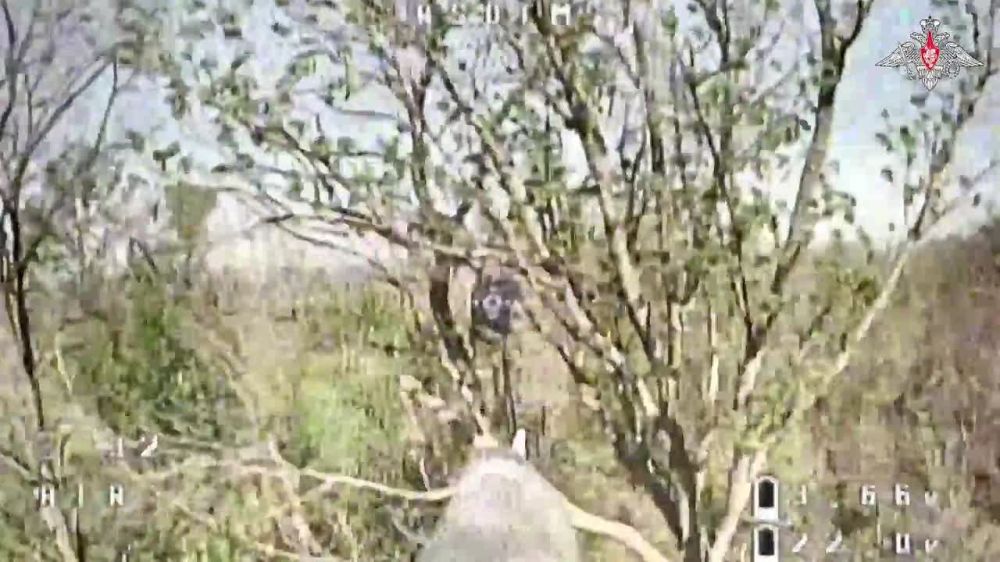  :  FPV-          