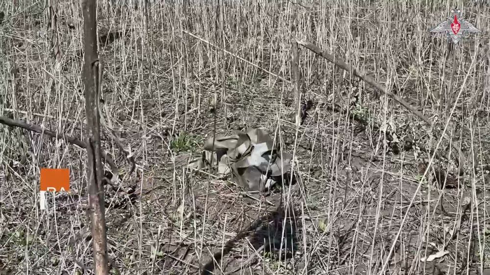 Минобороны России: Саперы танкового соединения группировки войск «Центр» продолжают разминирование окрестностей города Селидово