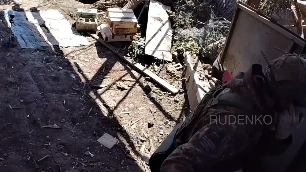  :        - 