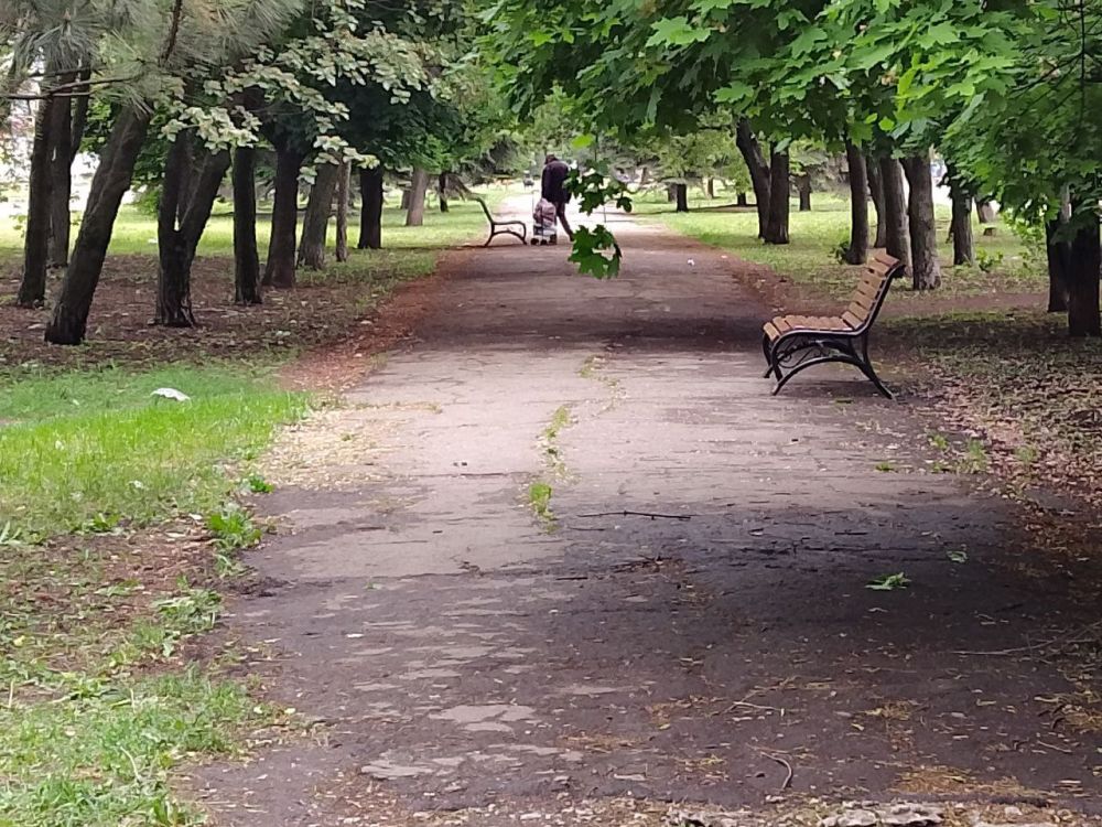 В Кировском внутригородском районе продолжаются работы по благоустройству В Кировском внутригородском районе продолжаются работы по благоустройству