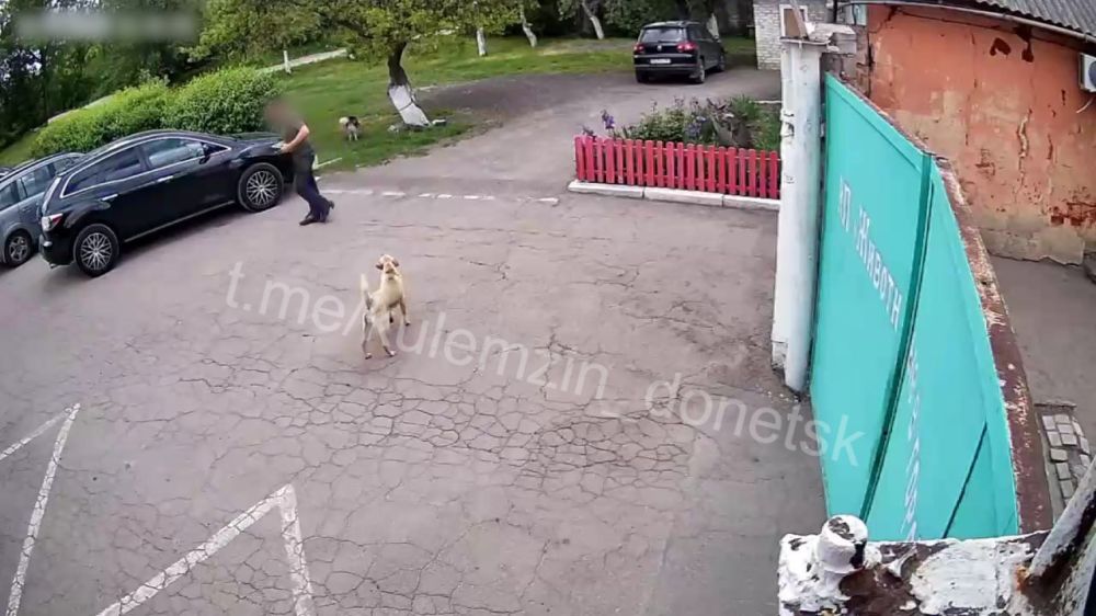 Алексей Кулемзин: Вчера у дверей предприятия «Животные в городе» мужчина целенаправленно оставил своего питомца породы хаски Алексей Кулемзин: Вчера у дверей предприятия «Животные в городе» мужчина целенаправленно оставил своего питомца породы хаски