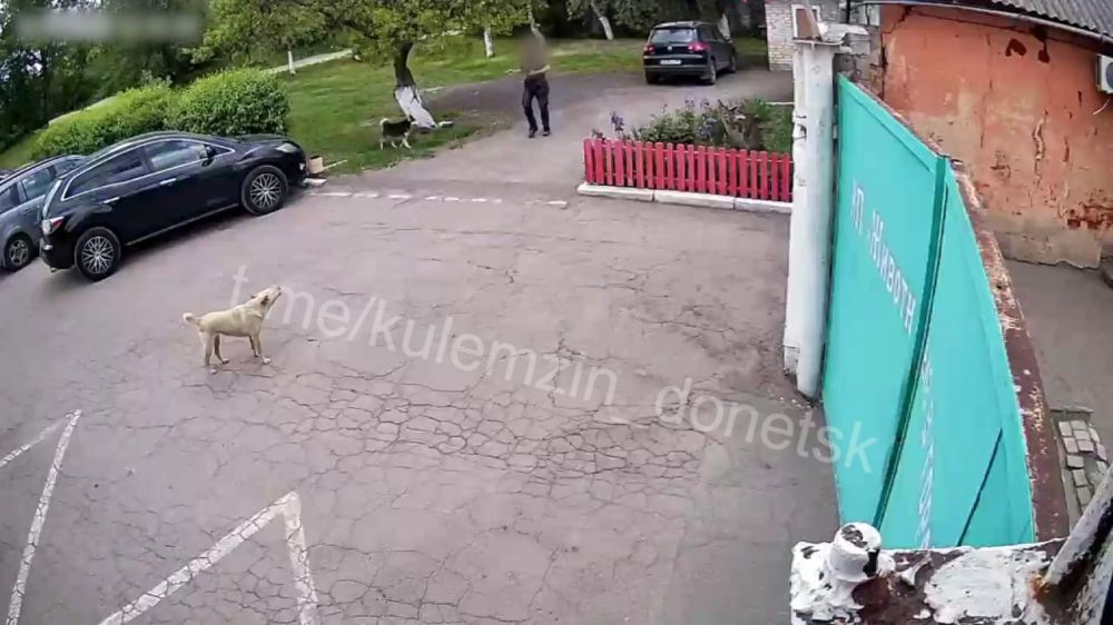 Алексей Кулемзин: Вчера у дверей предприятия «Животные в городе» мужчина целенаправленно оставил своего питомца породы хаски Алексей Кулемзин: Вчера у дверей предприятия «Животные в городе» мужчина целенаправленно оставил своего питомца породы хаски