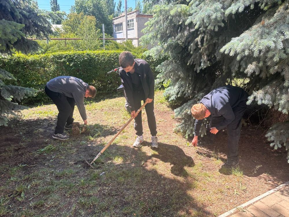 Сегодня прошёл общешкольный субботник! Сегодня прошёл общешкольный субботник!