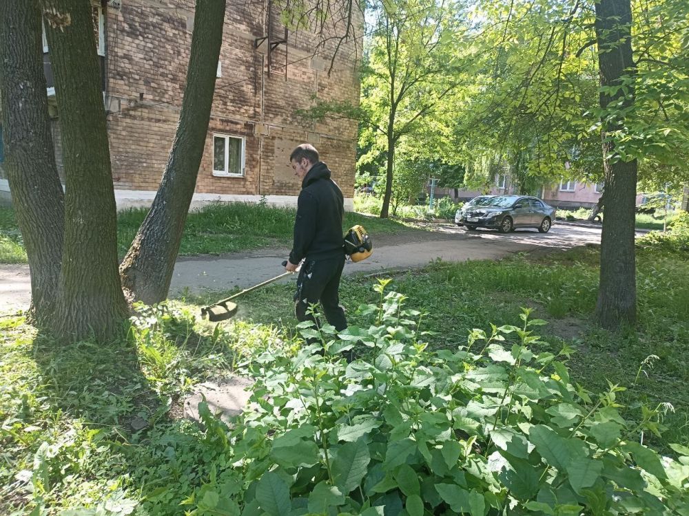 Наталья Бегуненко: Петровский район присоединился к еженедельной акции «Чистый четверг» Наталья Бегуненко: Петровский район присоединился к еженедельной акции «Чистый четверг»