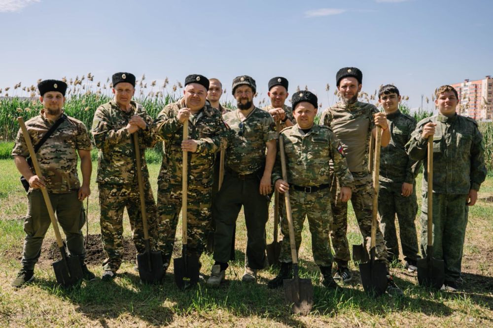 Олег Моргун: Продолжаем делать наш город еще зеленее и комфортнее Олег Моргун: Продолжаем делать наш город еще зеленее и комфортнее