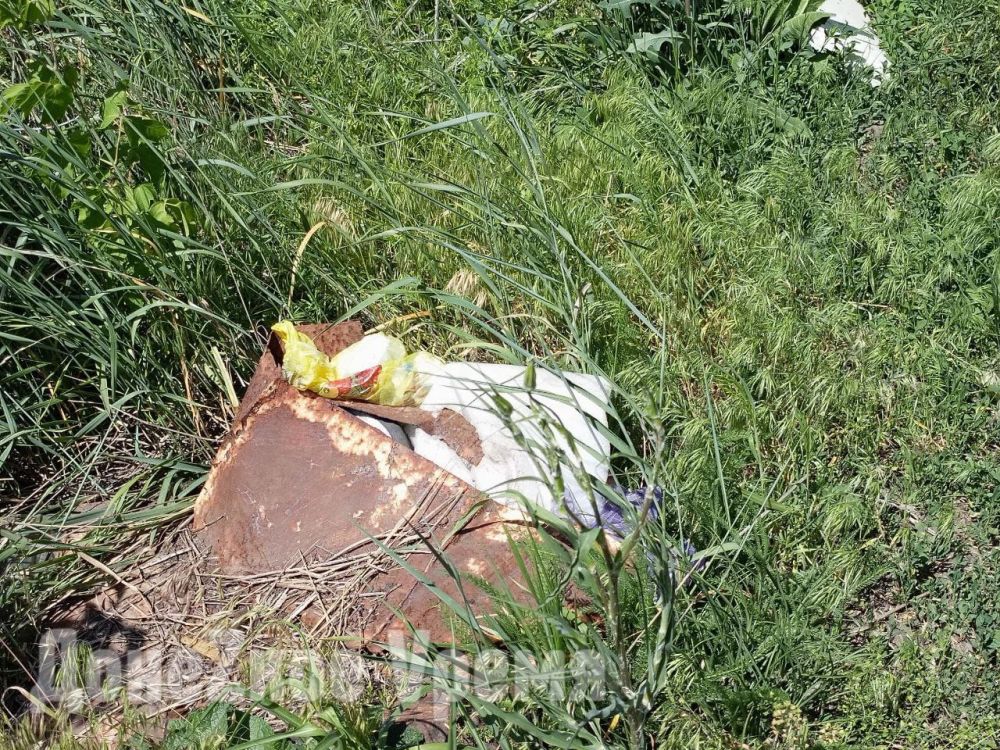 Где искать виновных: на донецком кладбище "Флора" неизвестный снес несколько могил Где искать виновных: на донецком кладбище "Флора" неизвестный снес несколько могил