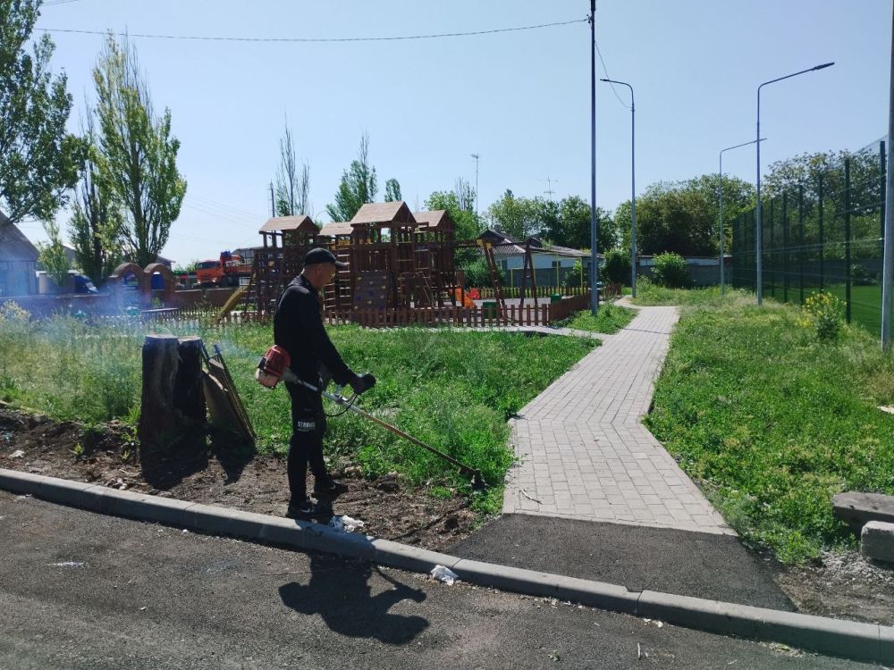 На территории Старобешевского муниципального округа ведутся работы по покосу сорной и карантинной растительности На территории Старобешевского муниципального округа ведутся работы по покосу сорной и карантинной растительности