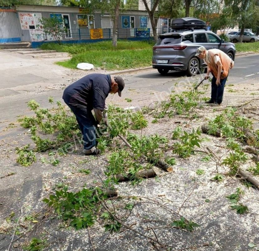 Донецке четвертые сутки борются с последствиями сильного ветра Донецке четвертые сутки борются с последствиями сильного ветра