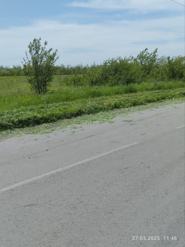 На территории городского округа Дебальцево продолжаются работы покосу сорных и карантинных трав На территории городского округа Дебальцево продолжаются работы покосу сорных и карантинных трав