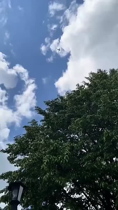  : .       
