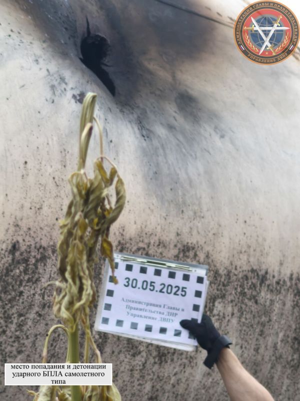          30.05.2025 