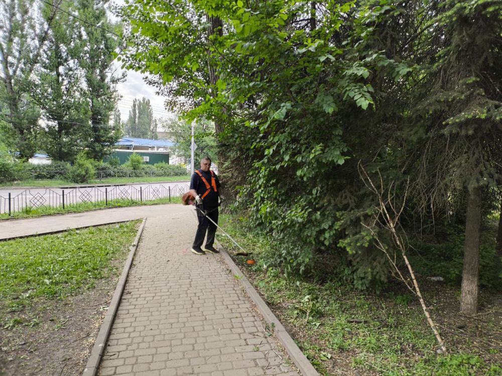 В Кировском внутригородском районе продолжаются работы по покосу травы В Кировском внутригородском районе продолжаются работы по покосу травы