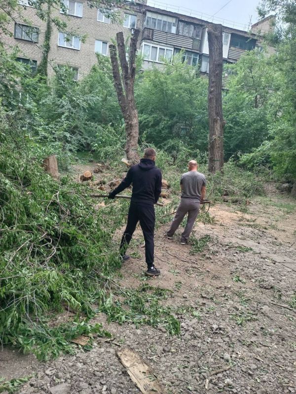  :    л       