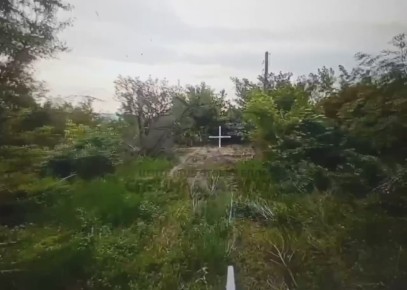       FPV-       һ    7  3              