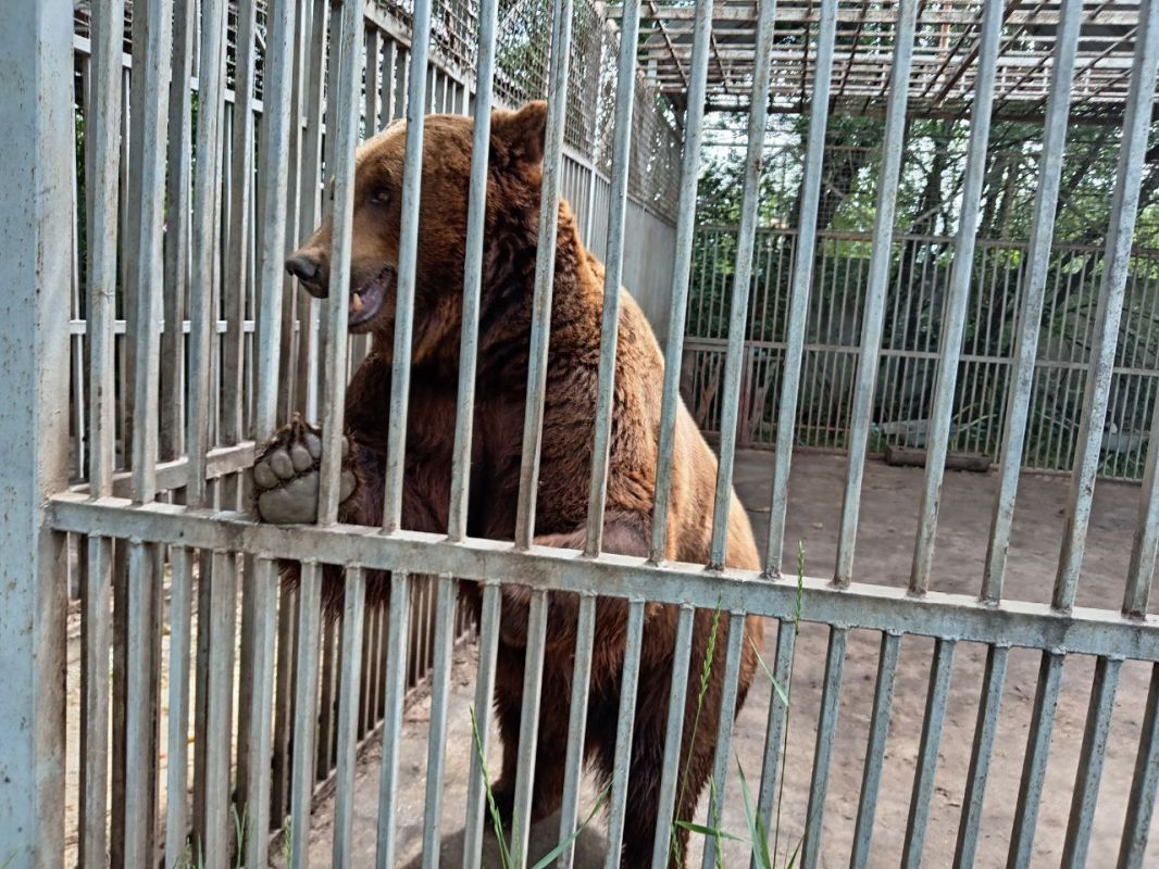 Вдохновение и новые открытия в Мариуполе Вдохновение и новые открытия в Мариуполе