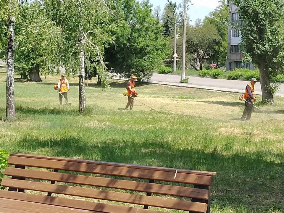 В Кировском внутригородском районе продолжаются работы по покосу травы В Кировском внутригородском районе продолжаются работы по покосу травы