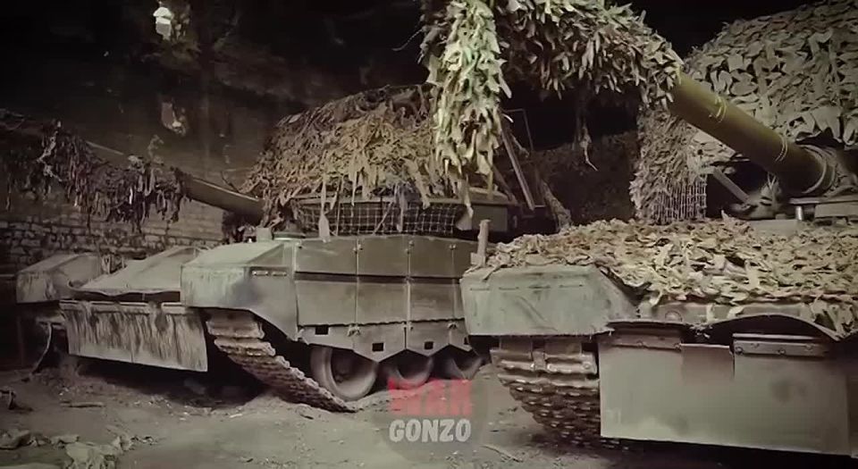 WarGonzo:       