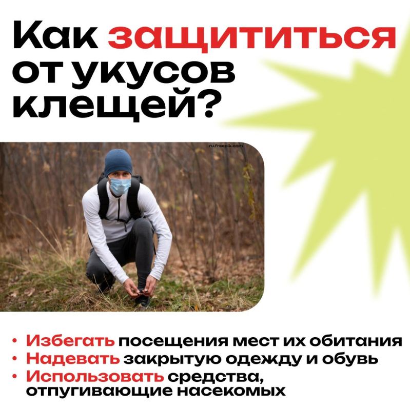 Клещи — это опасные паукообразные, которые могут переносить серьёзные заболевания Клещи — это опасные паукообразные, которые могут переносить серьёзные заболевания