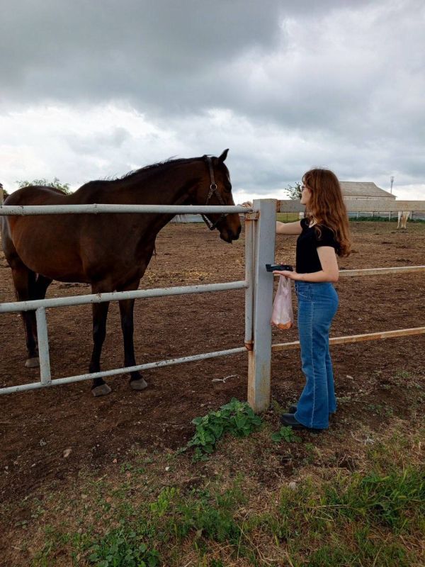 � �������, � ���������� ��� ������ �����, �� ���������� ���������� ������� ���������� ������������ � �������������� ����������� ��� �����, �������� ������������ �����