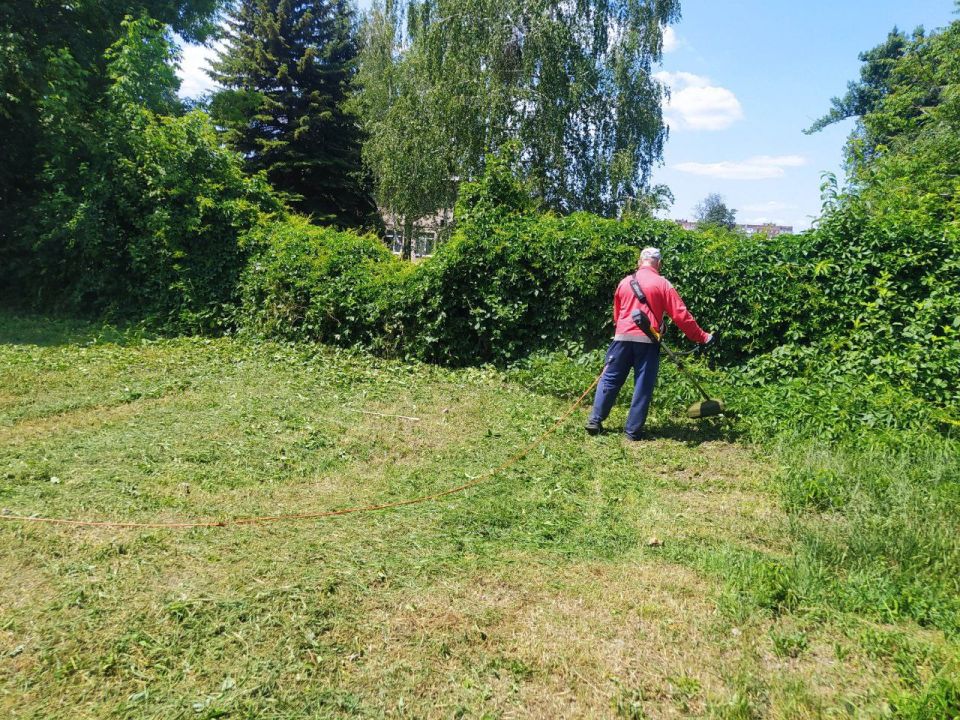 В Кировском внутригородском районе продолжаются работы по покосу травы В Кировском внутригородском районе продолжаются работы по покосу травы