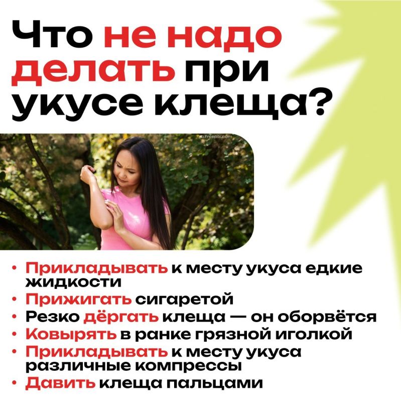 Клещи — это опасные паукообразные, которые могут переносить серьёзные заболевания Клещи — это опасные паукообразные, которые могут переносить серьёзные заболевания