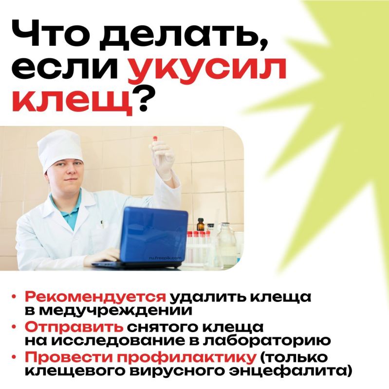 Клещи — это опасные паукообразные, которые могут переносить серьёзные заболевания Клещи — это опасные паукообразные, которые могут переносить серьёзные заболевания