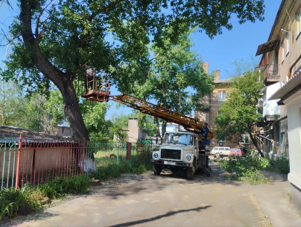 В Кировском внутригородском районе проведены работы обрезке деревьев В Кировском внутригородском районе проведены работы обрезке деревьев