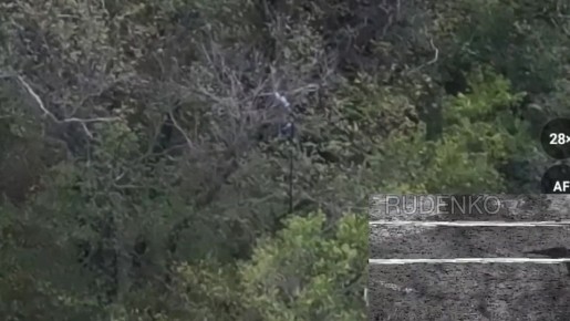  :  -   FPV-             