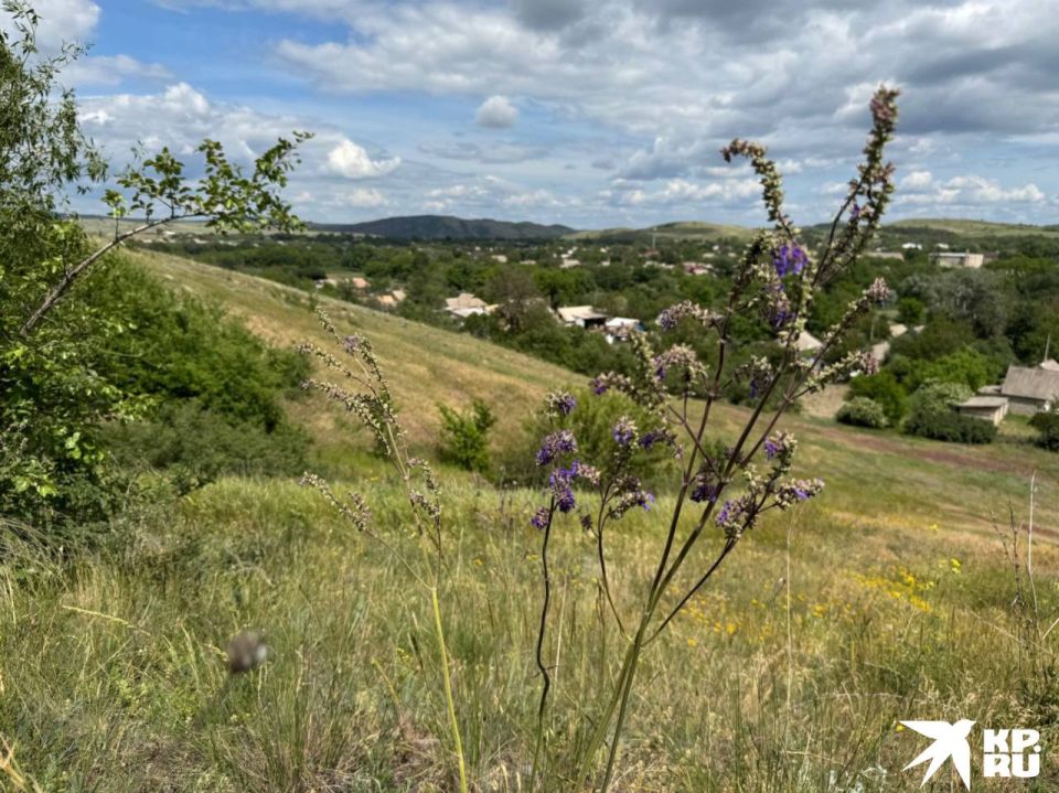 Многие гости Донецкой Народной Республики могут подумать, что Донбасс — это исключительно промышленный регион, где повсюду дымят заводские трубы, а в воздухе витает пыль от шахтных выработок Многие гости Донецкой Народной Республики могут подумать, что Донбасс — это исключительно промышленный регион, где повсюду дымят заводские трубы, а в воздухе витает пыль от шахтных выработок