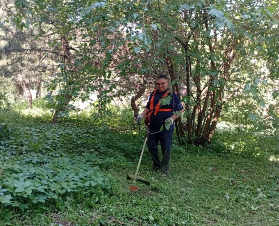 В Кировском внутригородском районе продолжаются работы по покосу травы В Кировском внутригородском районе продолжаются работы по покосу травы