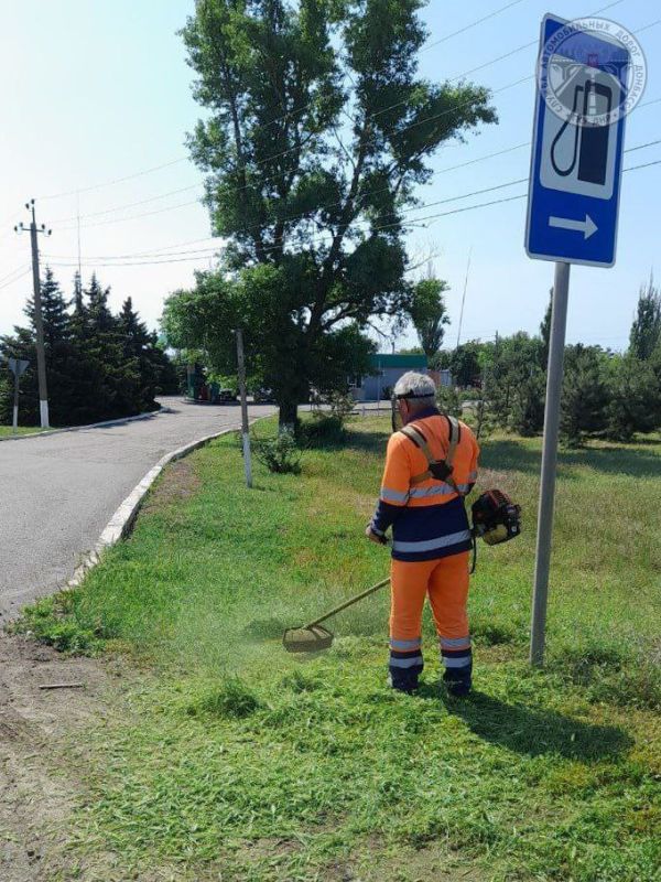 #свод_за_сутки #летнее_содержание #свод_за_сутки #летнее_содержание