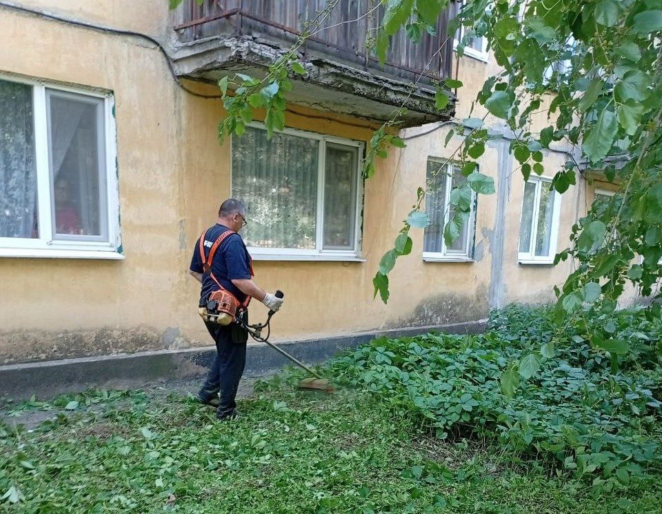 В Кировском внутригородском районе продолжаются работы по покосу травы В Кировском внутригородском районе продолжаются работы по покосу травы