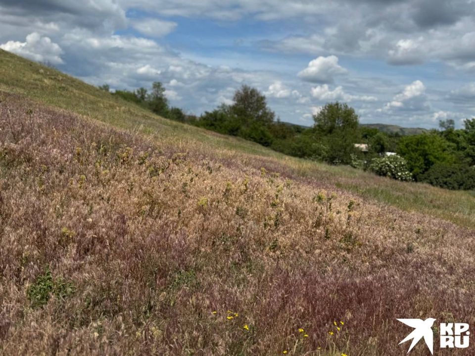 Многие гости Донецкой Народной Республики могут подумать, что Донбасс — это исключительно промышленный регион, где повсюду дымят заводские трубы, а в воздухе витает пыль от шахтных выработок Многие гости Донецкой Народной Республики могут подумать, что Донбасс — это исключительно промышленный регион, где повсюду дымят заводские трубы, а в воздухе витает пыль от шахтных выработок