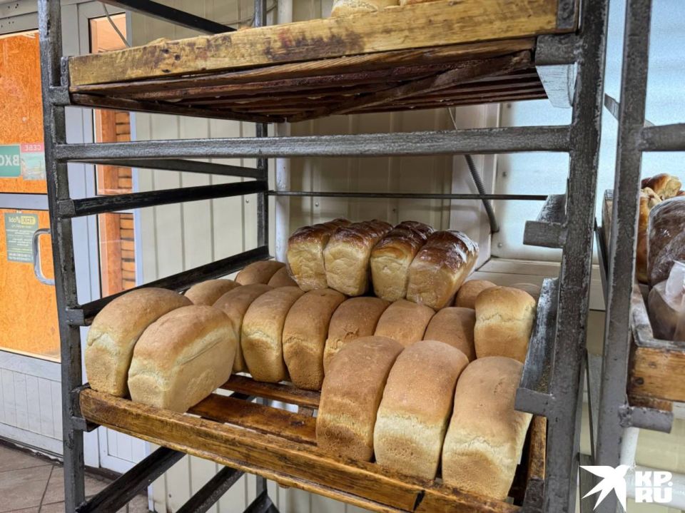 Многие гости Донецкой Народной Республики могут подумать, что Донбасс — это исключительно промышленный регион, где повсюду дымят заводские трубы, а в воздухе витает пыль от шахтных выработок Многие гости Донецкой Народной Республики могут подумать, что Донбасс — это исключительно промышленный регион, где повсюду дымят заводские трубы, а в воздухе витает пыль от шахтных выработок