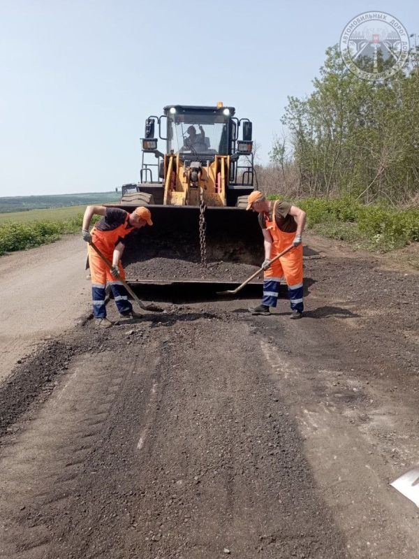 #свод_за_сутки #летнее_содержание #свод_за_сутки #летнее_содержание
