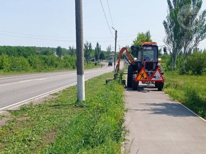 #свод_за_сутки #летнее_содержание #свод_за_сутки #летнее_содержание
