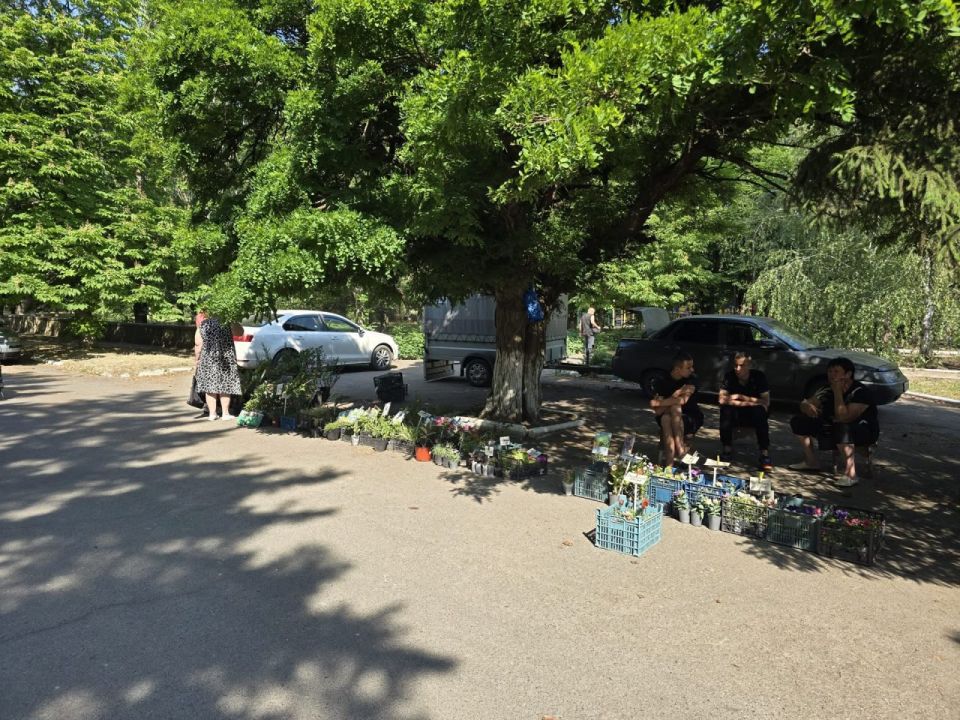 В Старобешево провели выездную ярмарку В Старобешево провели выездную ярмарку