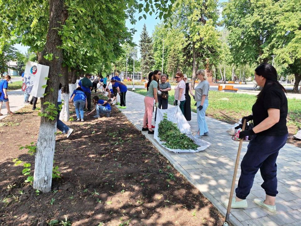В Шахтерске прошел субботник В Шахтерске прошел субботник