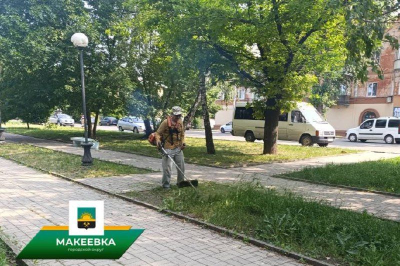 В Макеевке ведётся активная работа по покосу карантинных трав, в том числе на придомовых территориях В Макеевке ведётся активная работа по покосу карантинных трав, в том числе на придомовых территориях