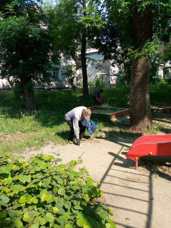На территории городского округа Дебальцево продолжаются работы покосу сорных и карантинных трав На территории городского округа Дебальцево продолжаются работы покосу сорных и карантинных трав